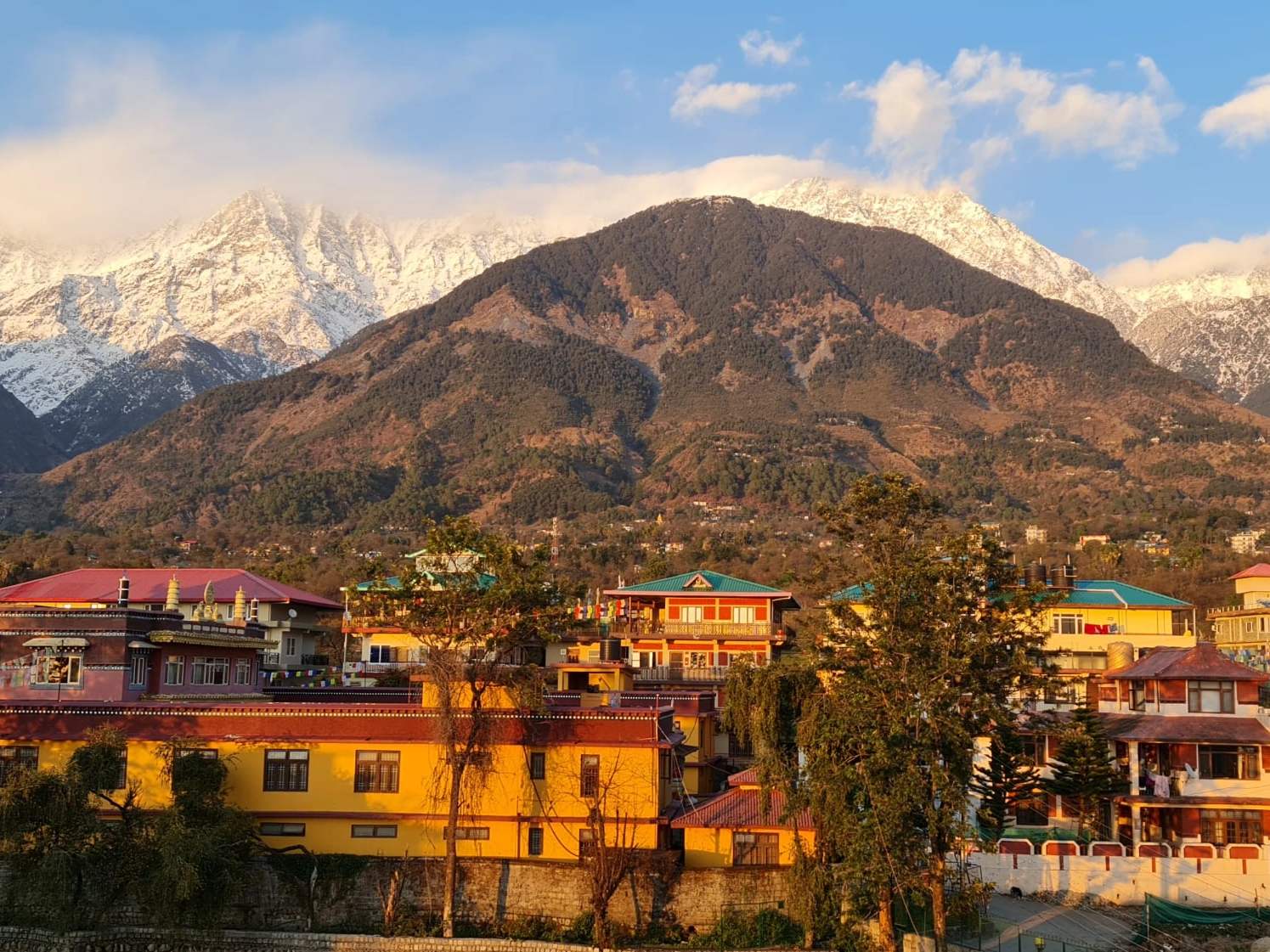 The snow-capped Dhauladhar range above Dharamshala