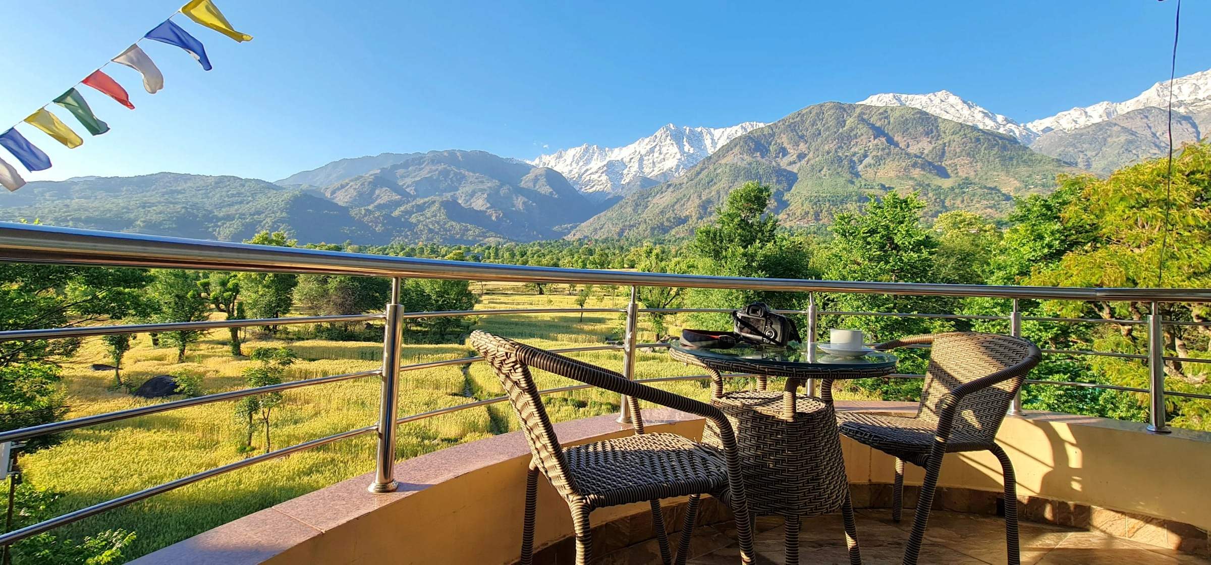 Balcony chairs facing green fields and the snow-capped Dhauladhar