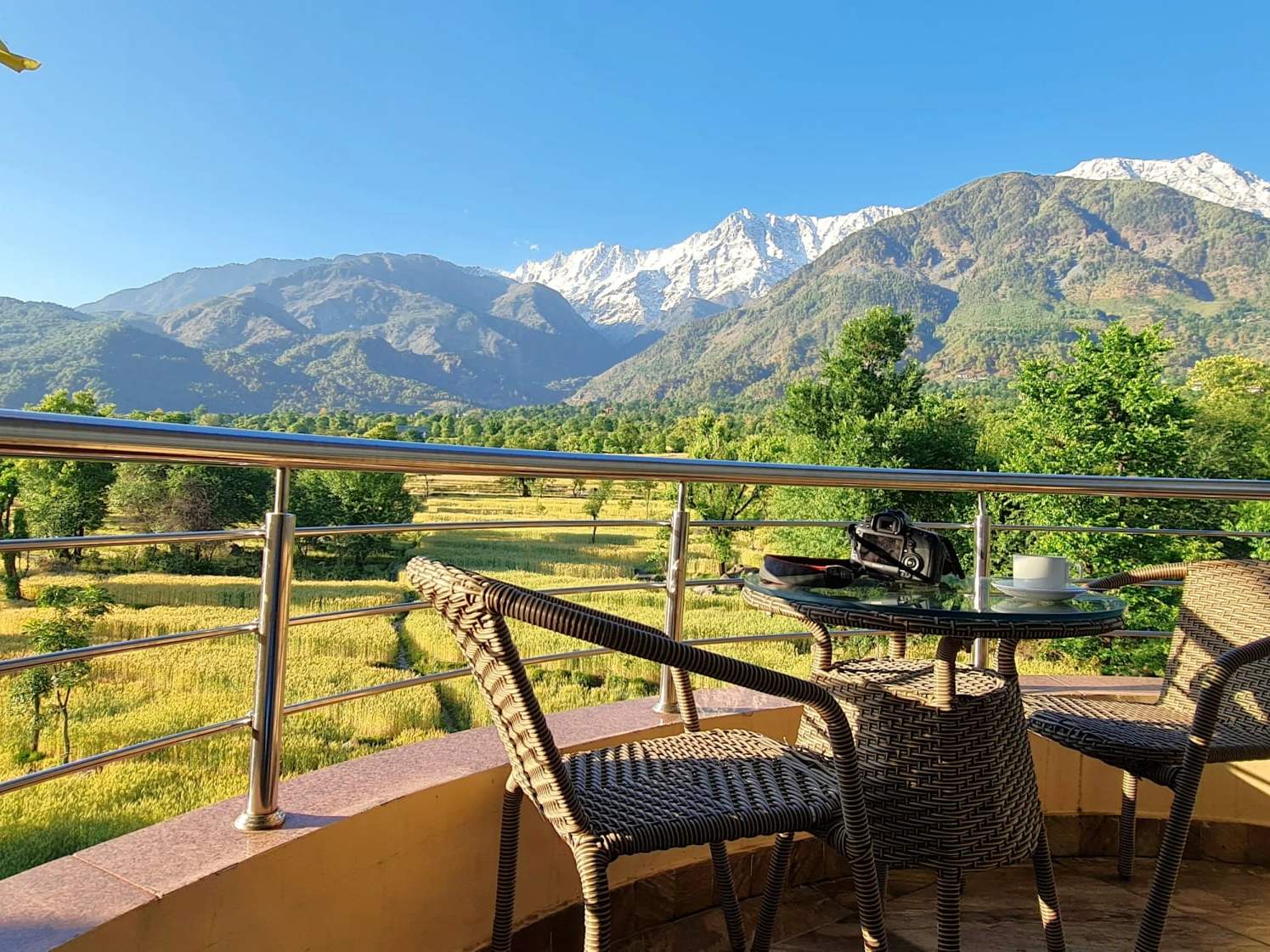 Green fields and the Dhauladhar from a balcony in Dharamshala