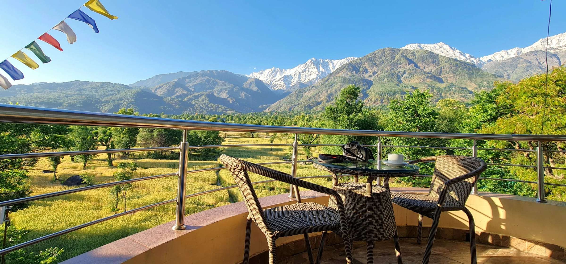 Balcony chairs facing green fields and the snow-capped Dhauladhar